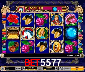 Descubra o Mundo do Cassino Online com bet5577