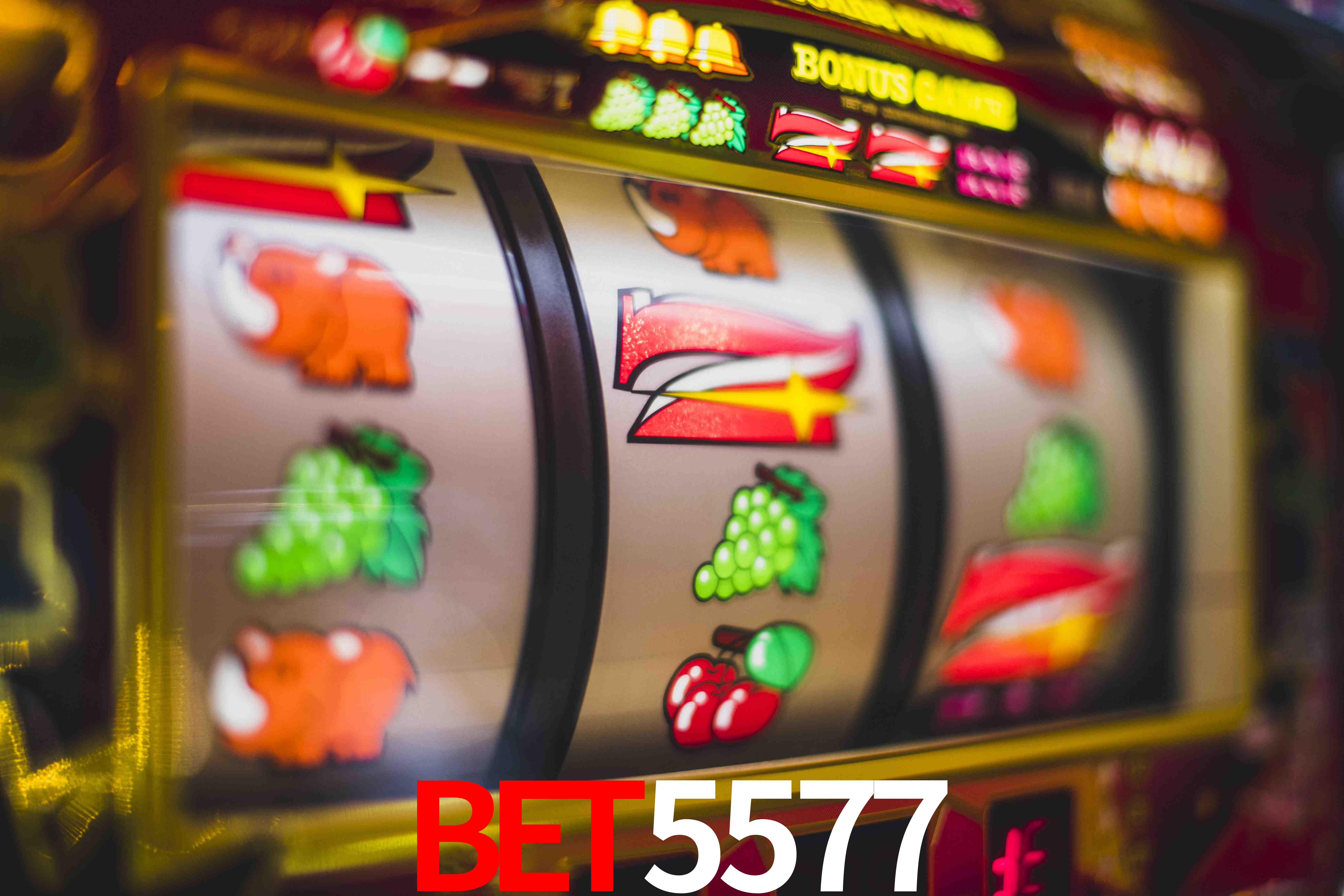 Live Casino bet5577